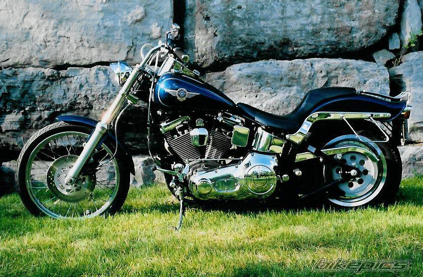 1996 HARLEY DAVIDSON FXSTC | Picture 530939 motorcycle photo
