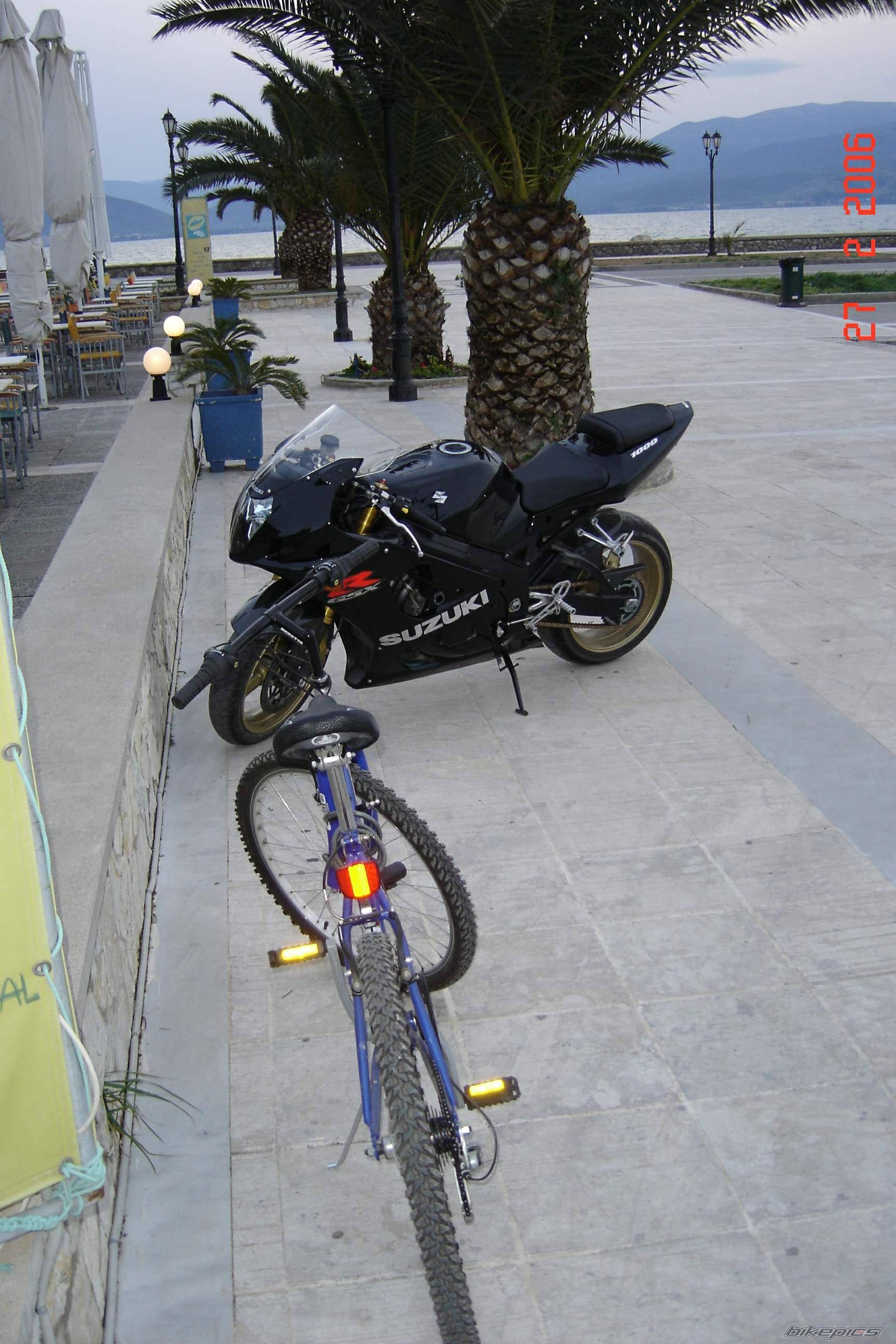 2004 SUZUKI GSX R 1000 | Picture 531568 motorcycle photo