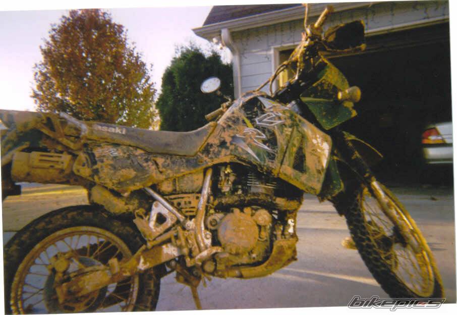 2003 KAWASAKI KLR 650 | Picture 53190 motorcycle photo