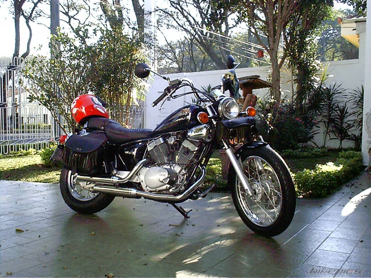 1998 YAMAHA VIRAGO 250 | Picture 53204 motorcycle photo