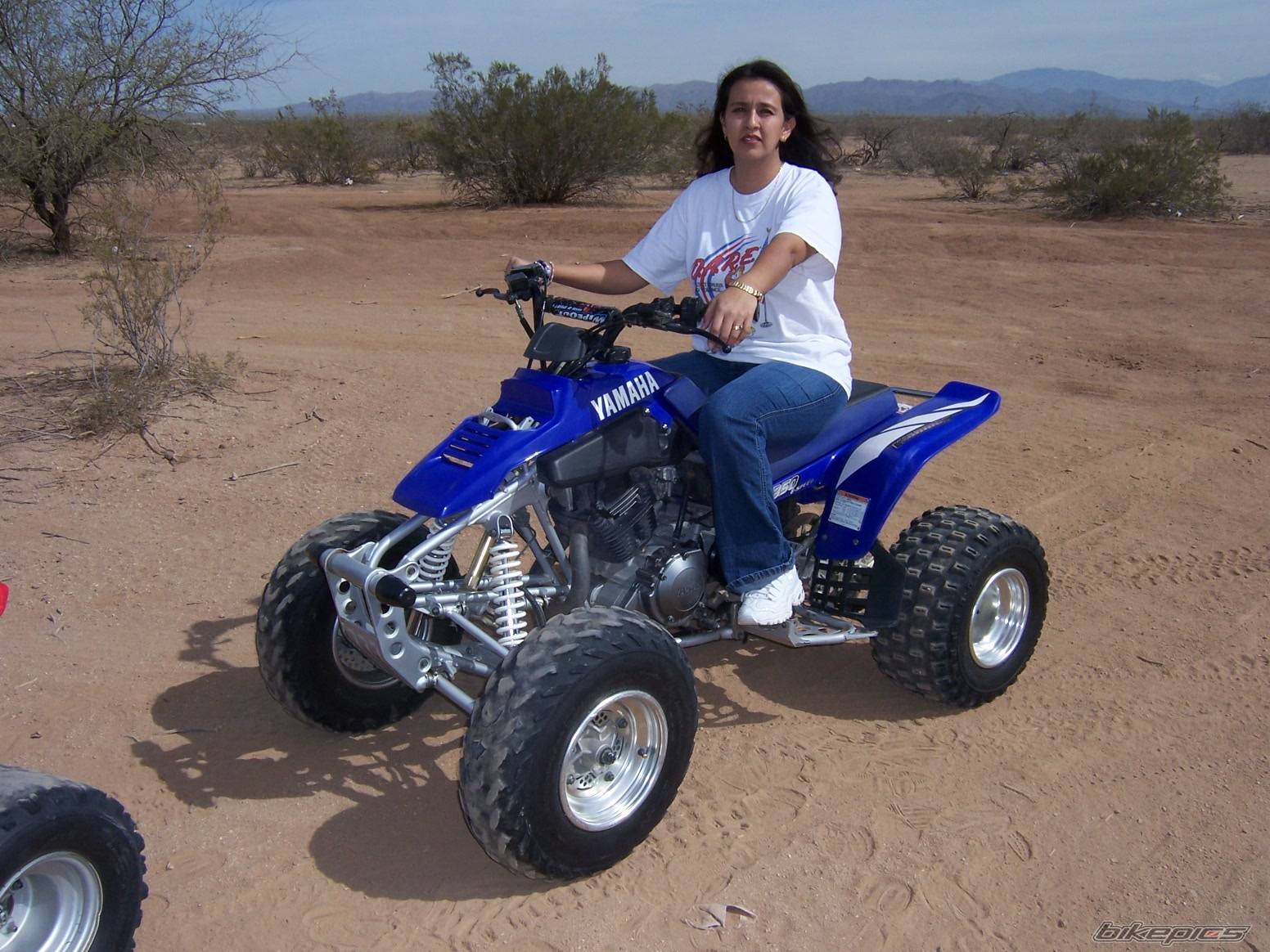 2001 YAMAHA WARRIOR | Picture 533104 motorcycle photo