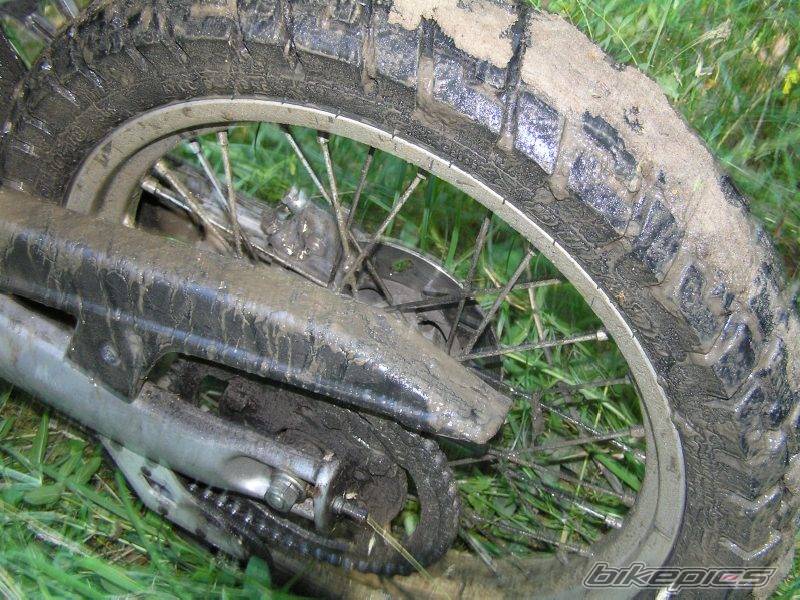 1999 DERBI SENDA R 50 | Picture 533217 motorcycle photo
