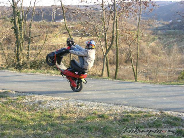 1999 PIAGGIO ZIP SP | Picture 533533 motorcycle photo