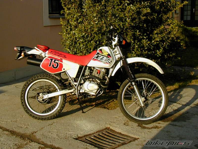 1999 HONDA XLR125 | Picture 53393 motorcycle photo