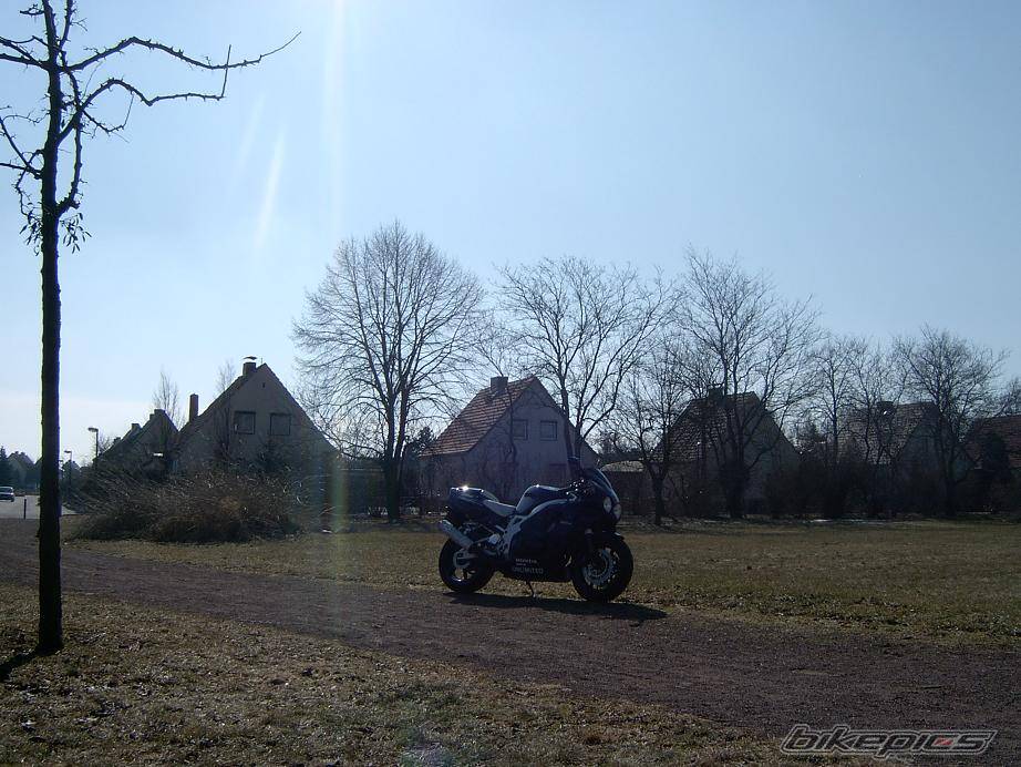 534773 | Picture 534773 motorcycle photo