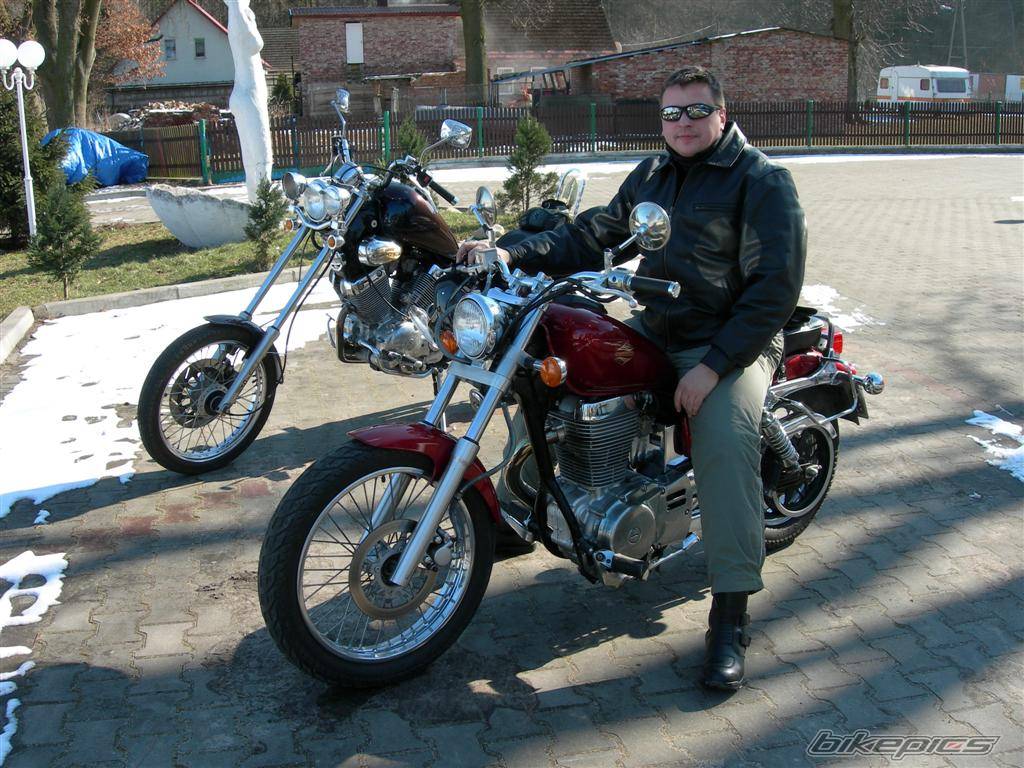 1995 SUZUKI SAVAGE | Picture 535196 motorcycle photo
