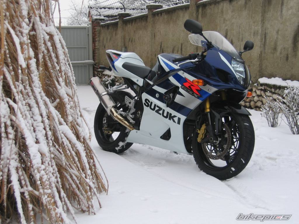 2004 SUZUKI GSX R 1000 | Picture 536119 motorcycle photo