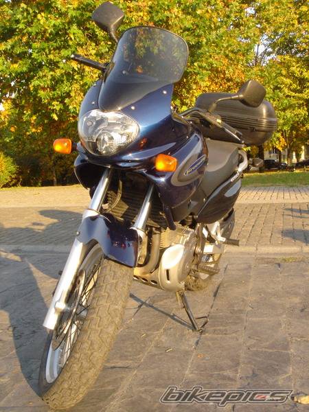 2002 SUZUKI XF 650 | Picture 536404 motorcycle photo