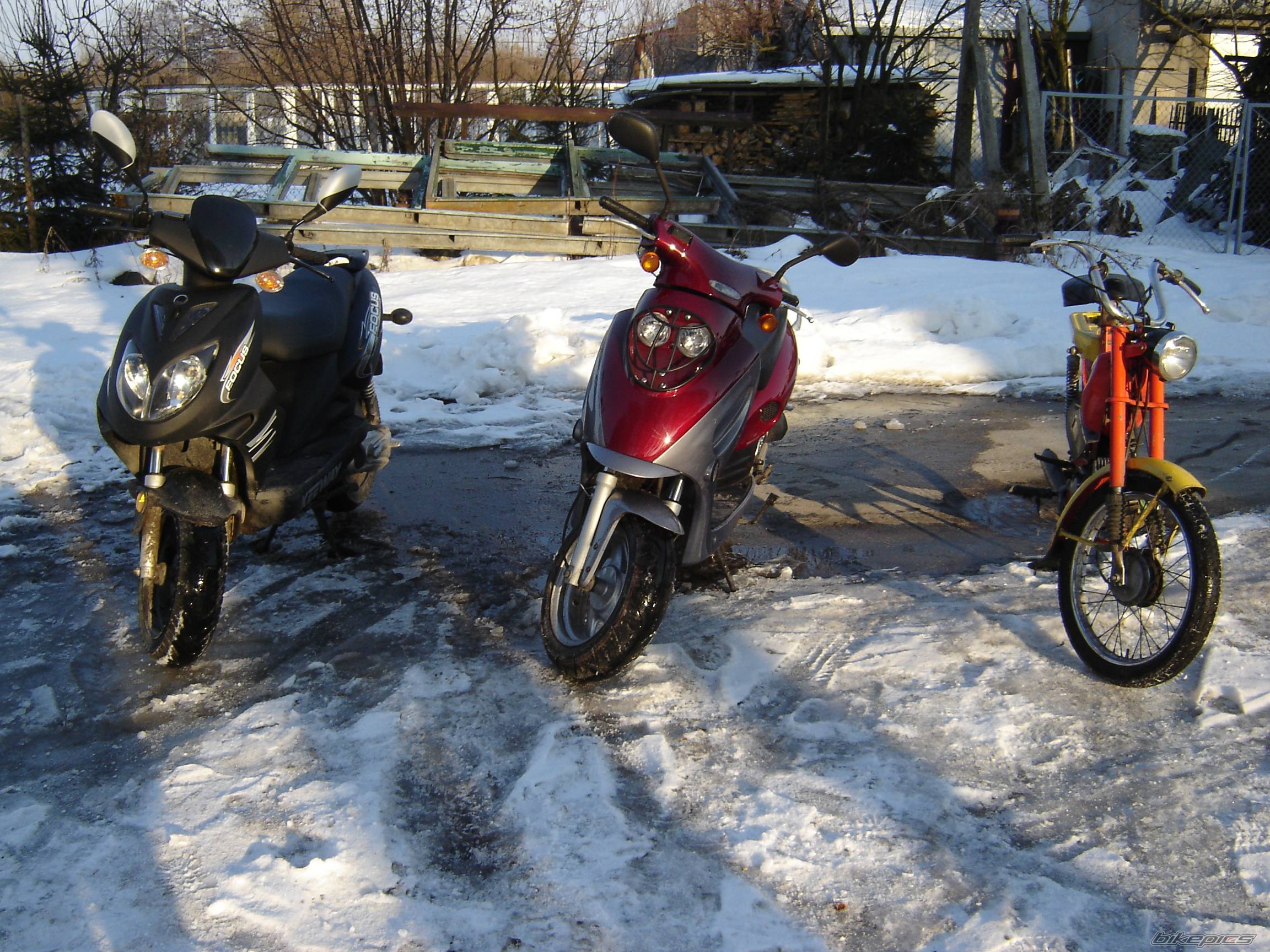 2005 KEEWAY FOCUS 50 | Picture 536576 motorcycle photo
