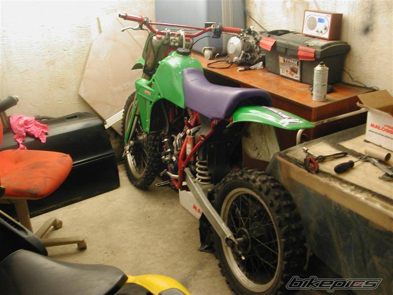 1986 KTM 125 SX | Picture 536747 motorcycle photo