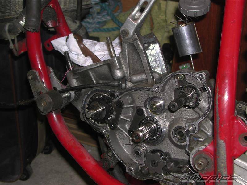 1986 KTM 125 SX | Picture 536809 motorcycle photo