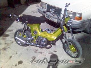 1987 HONDA CHALY | Picture 537126 motorcycle photo