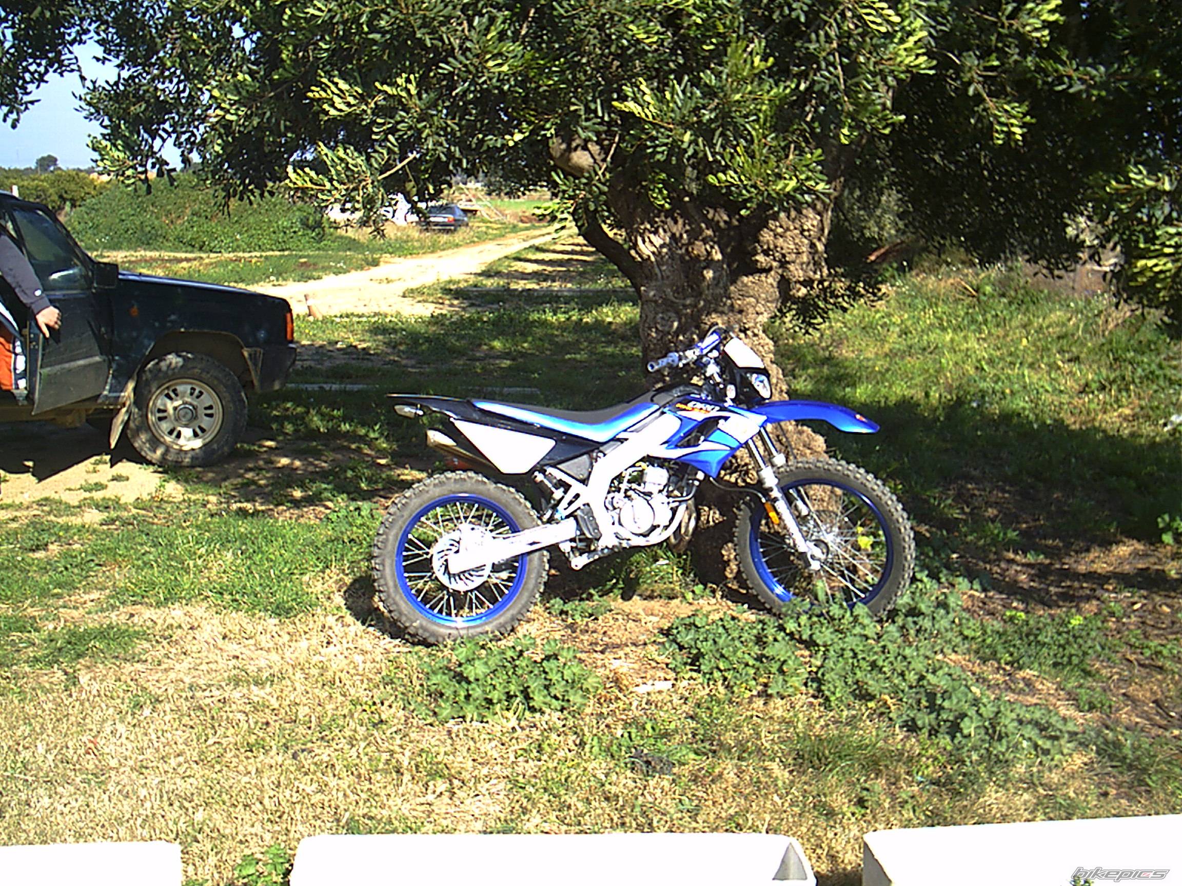 2005 DERBI SENDA DRD R | Picture 537249 motorcycle photo