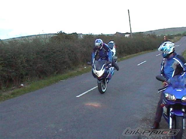 2001 SUZUKI GSX R 600 | Picture 537344 motorcycle photo