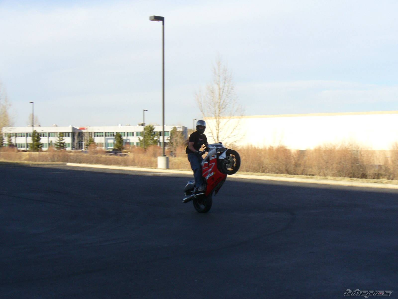 2002 HONDA CBR 600 | Picture 537490 motorcycle photo