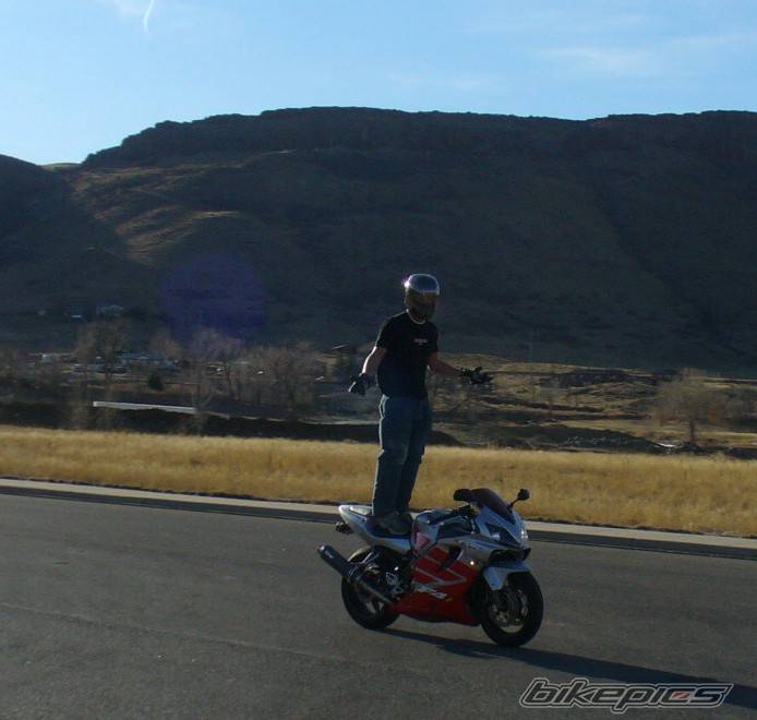 2002 HONDA CBR 600 | Picture 537492 motorcycle photo