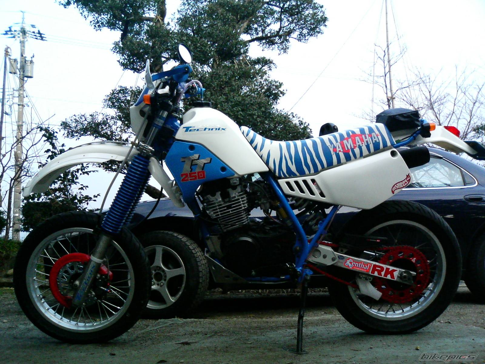 1986 YAMAHA TTR 250 | Picture 537495 motorcycle photo