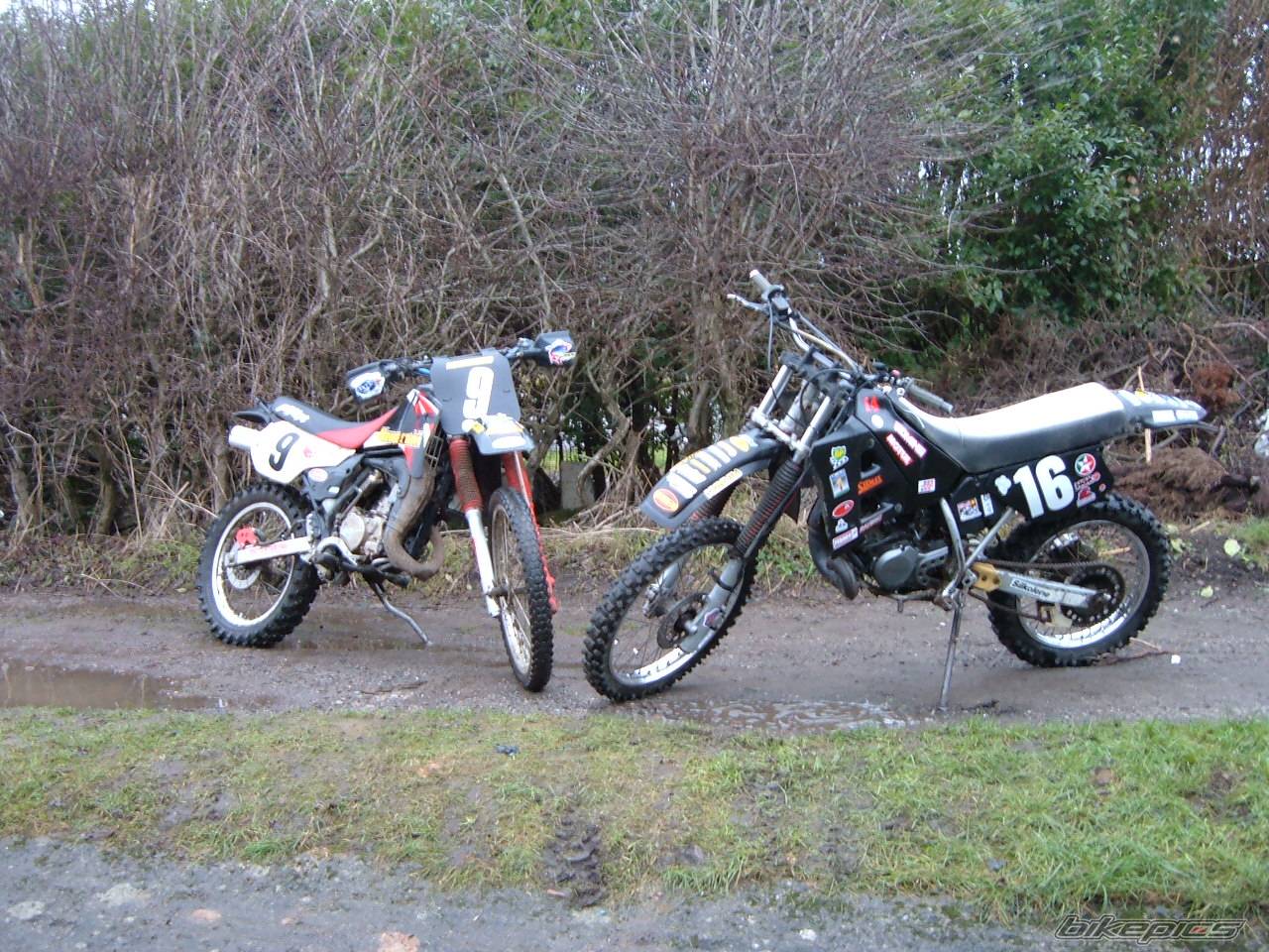 1994 YAMAHA DT 125 | Picture 537555 motorcycle photo