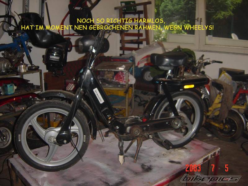 2000 APRILIA RS 125 | Picture 53793 motorcycle photo