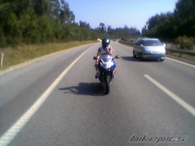 2001 SUZUKI GSX R 600 | Picture 53801 motorcycle photo