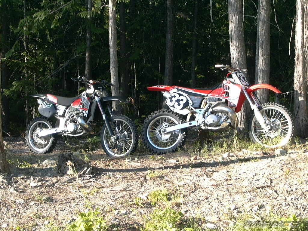 1996 HONDA CR 500 | Picture 53834 motorcycle photo