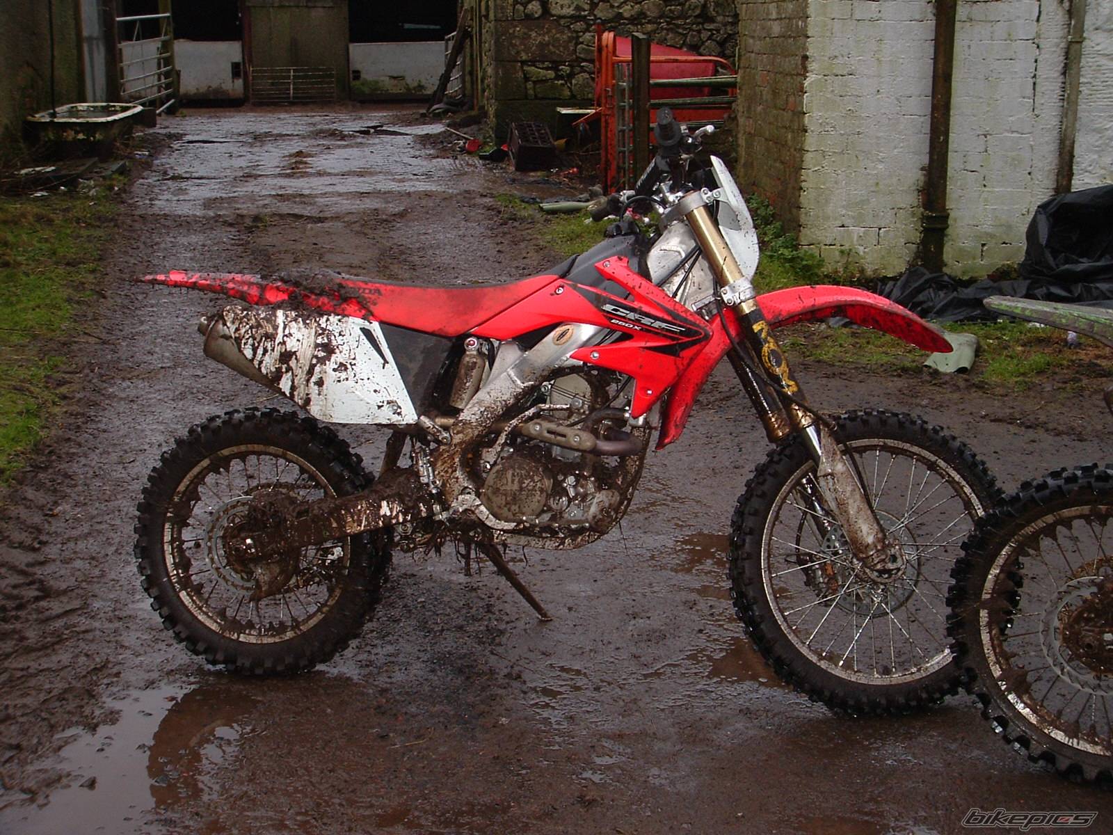 2004 HONDA CRF 250X | Picture 538478 motorcycle photo