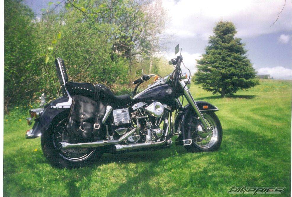 1983 HARLEY DAVIDSON FLHS | Picture 538903 motorcycle photo