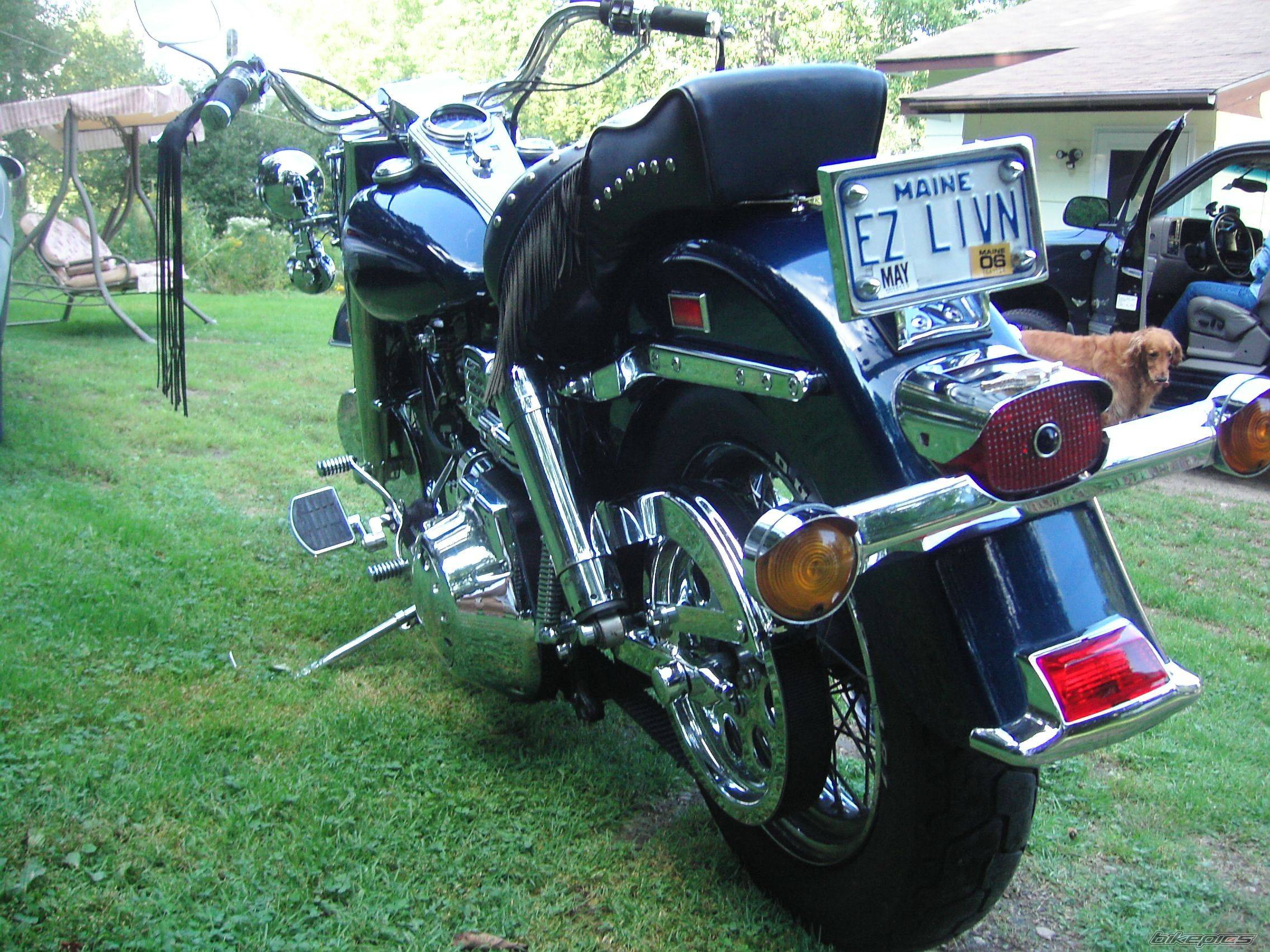 1983 HARLEY DAVIDSON FLHS | Picture 538906 motorcycle photo