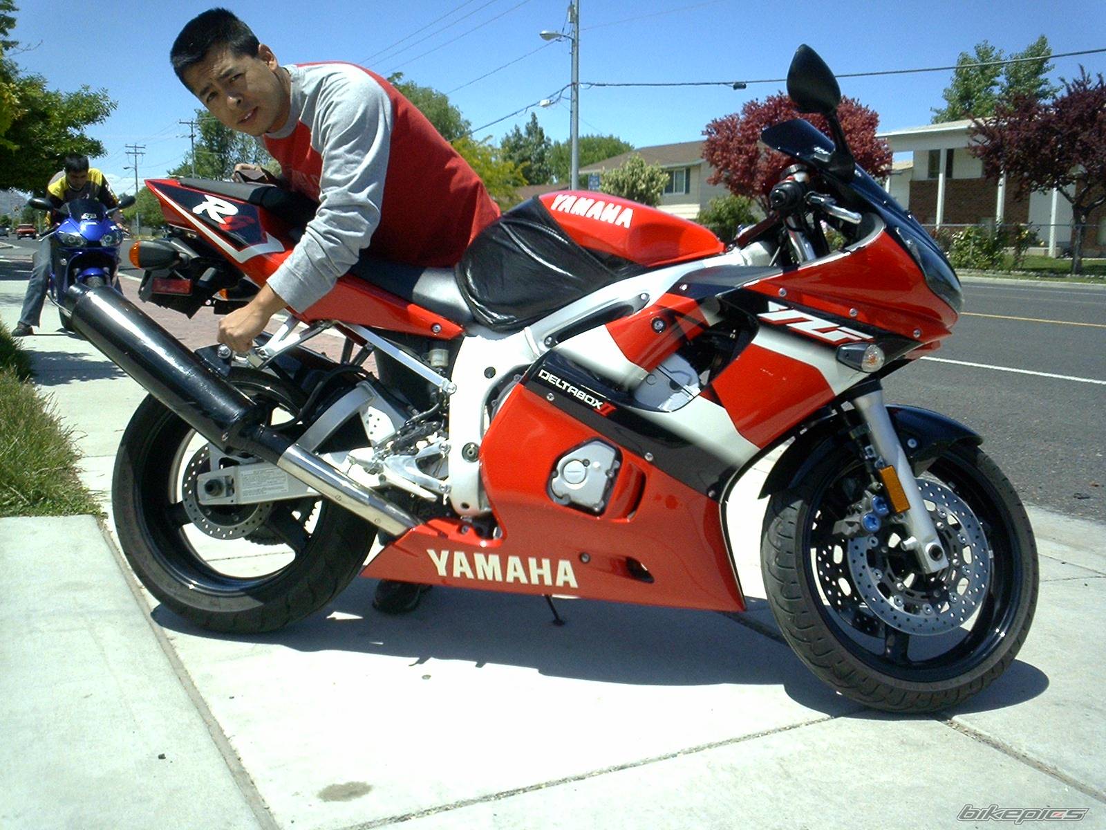 2002 YAMAHA YZF R6 | Picture 539430 motorcycle photo
