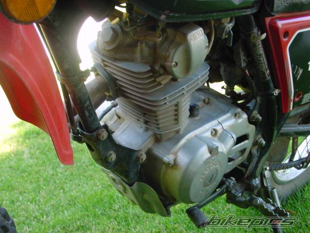 1981 HONDA XL 125 | Picture 53947 motorcycle photo