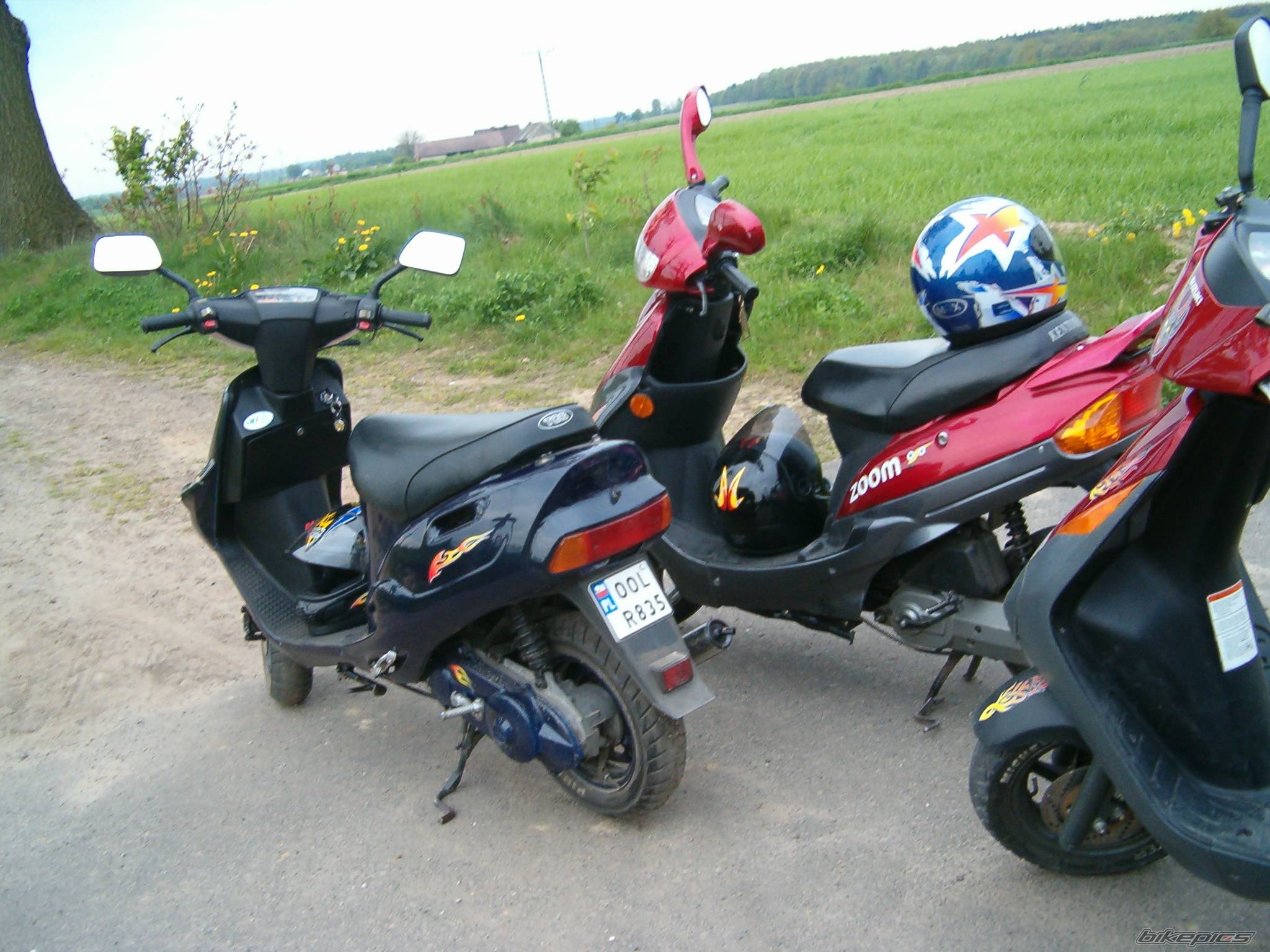 1996 TGB GF5 | Picture 539532 motorcycle photo