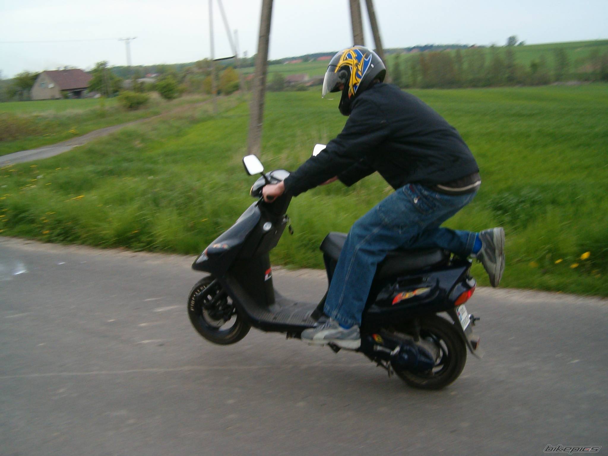 1996 TGB GF5 | Picture 539533 motorcycle photo