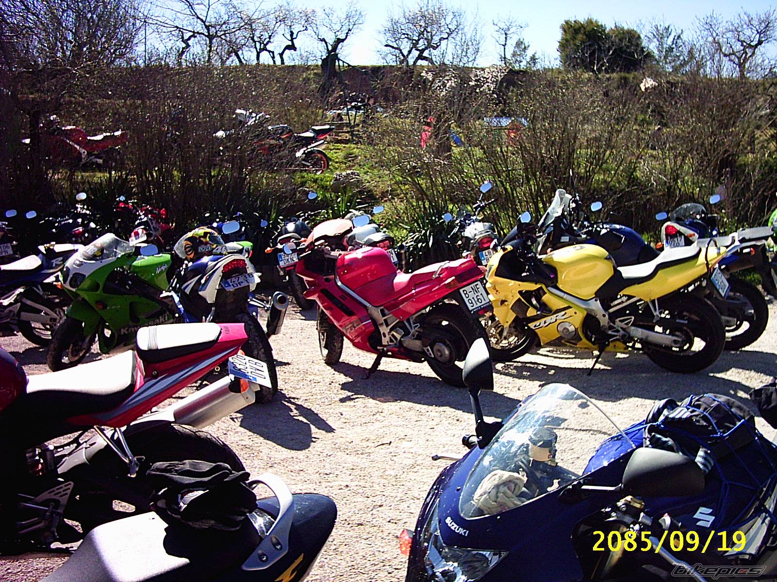 2004 YAMAHA YZF R6 | Picture 539631 motorcycle photo