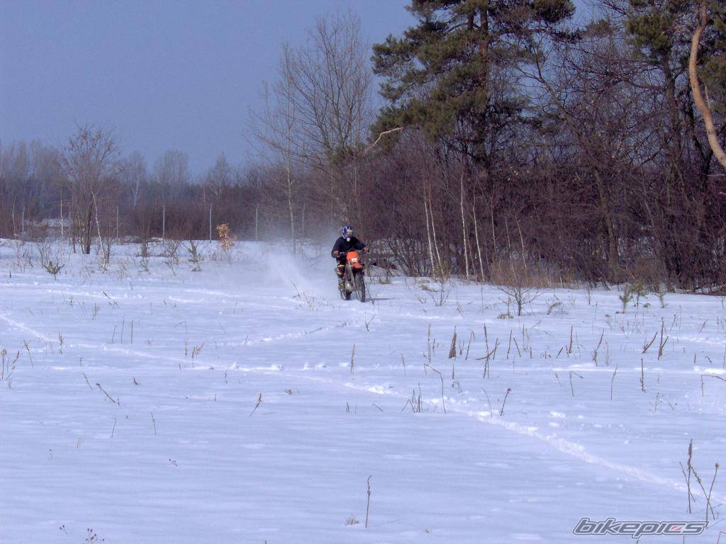 2001 KTM 250 EXC | Picture 539739 motorcycle photo