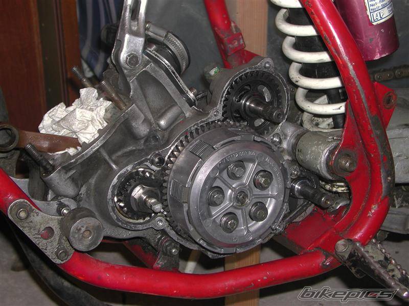 1986 KTM 125 SX | Picture 539778 motorcycle photo