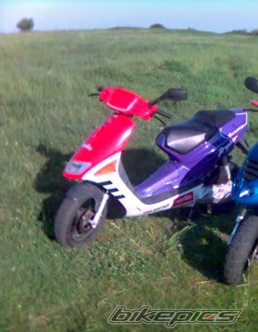 1993 APRILIA SR 50 | Picture 539814 motorcycle photo