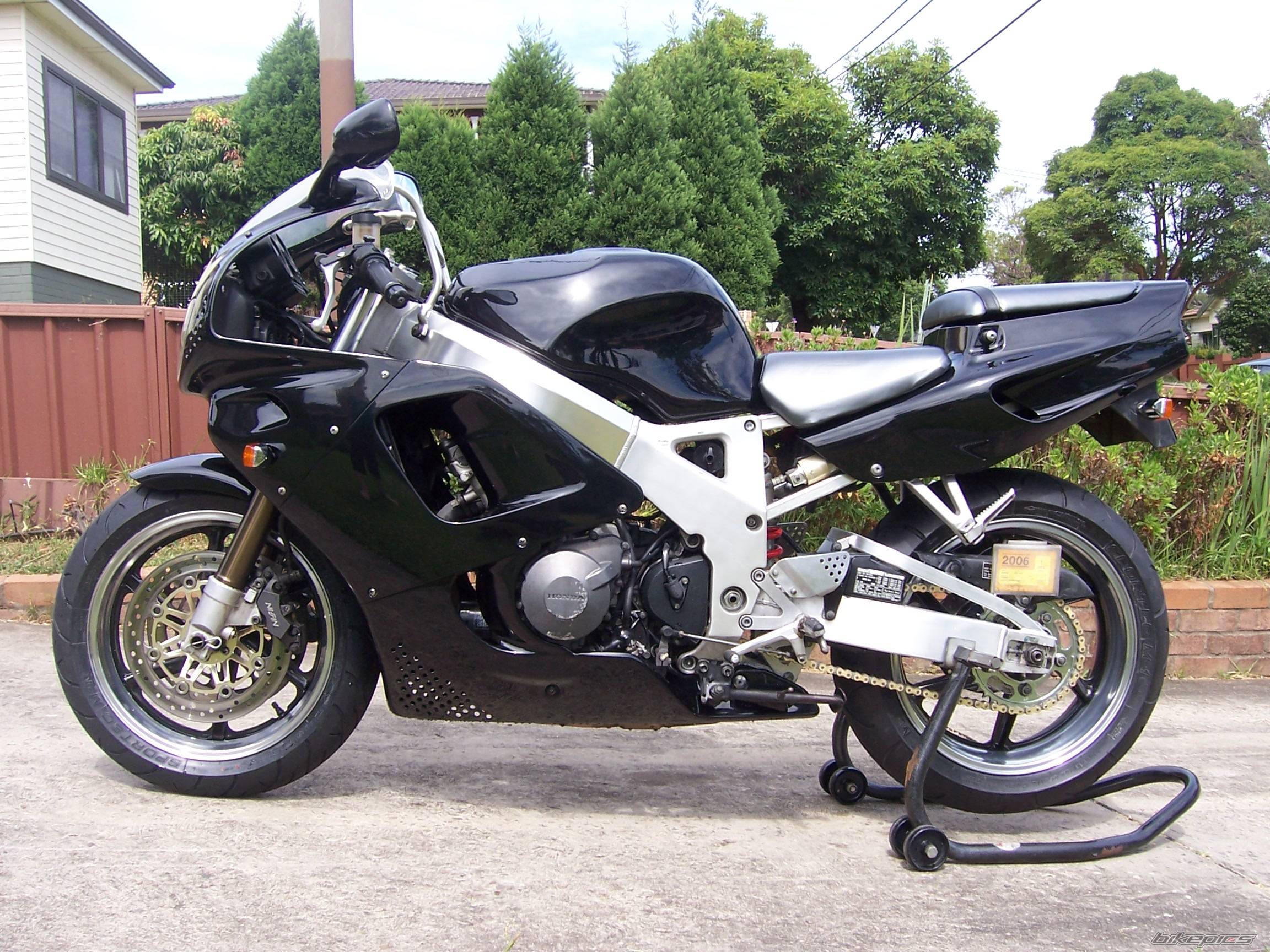 1995 HONDA CBR 900 | Picture 540263 motorcycle photo
