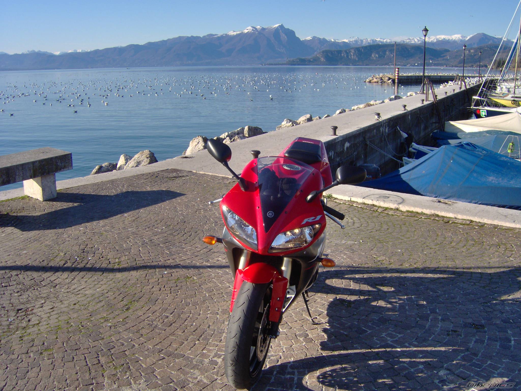 2003 YAMAHA YZF R1 | Picture 540591 motorcycle photo