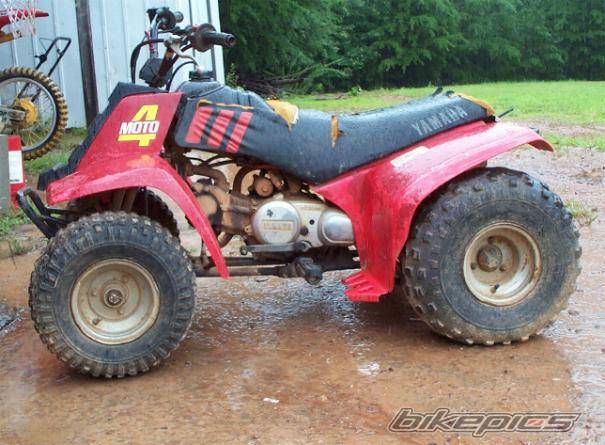 1985 YAMAHA BADGER | Picture 54114 motorcycle photo