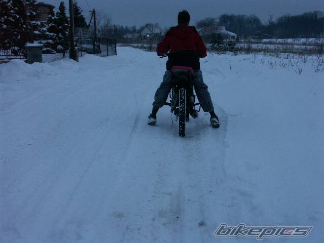 2006 WSK 125 CROSS | Picture 541160 motorcycle photo