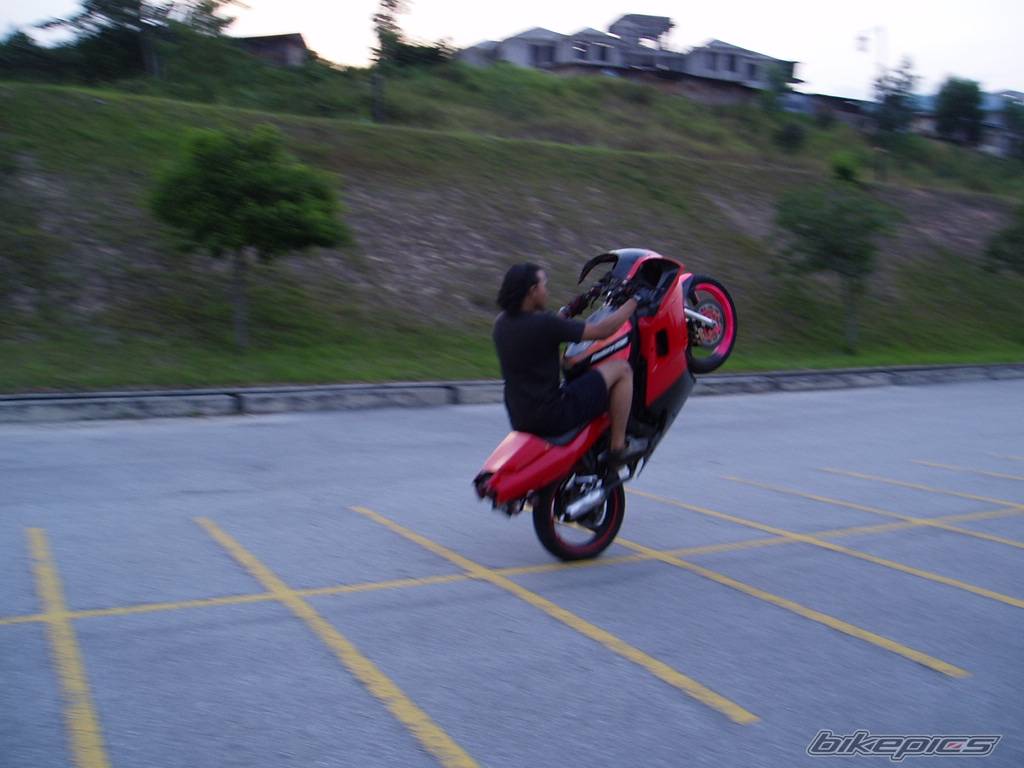 2005 YAMAHA TZM 150 | Picture 541469 motorcycle photo