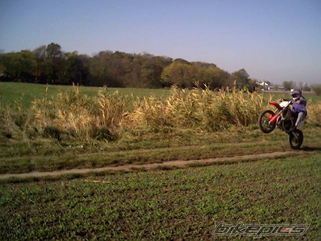 2000 HONDA CR 85 | Picture 541556 motorcycle photo