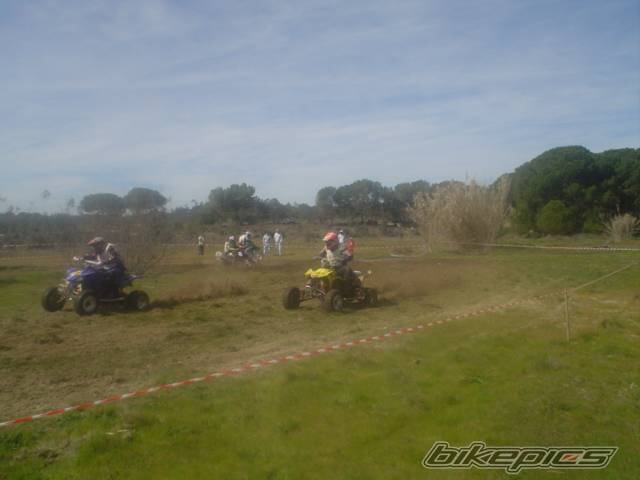 2006 SUZUKI LTR 450 | Picture 541582 motorcycle photo