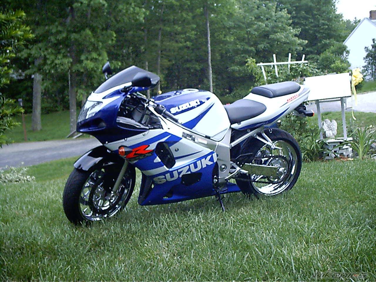 2002 SUZUKI GSX R 600 | Picture 54194 motorcycle photo
