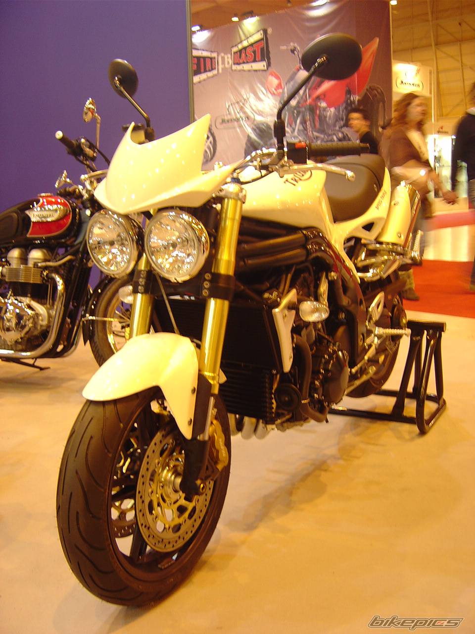 2006 TRIUMPH SPEED TRIPLE | Picture 542214 motorcycle photo