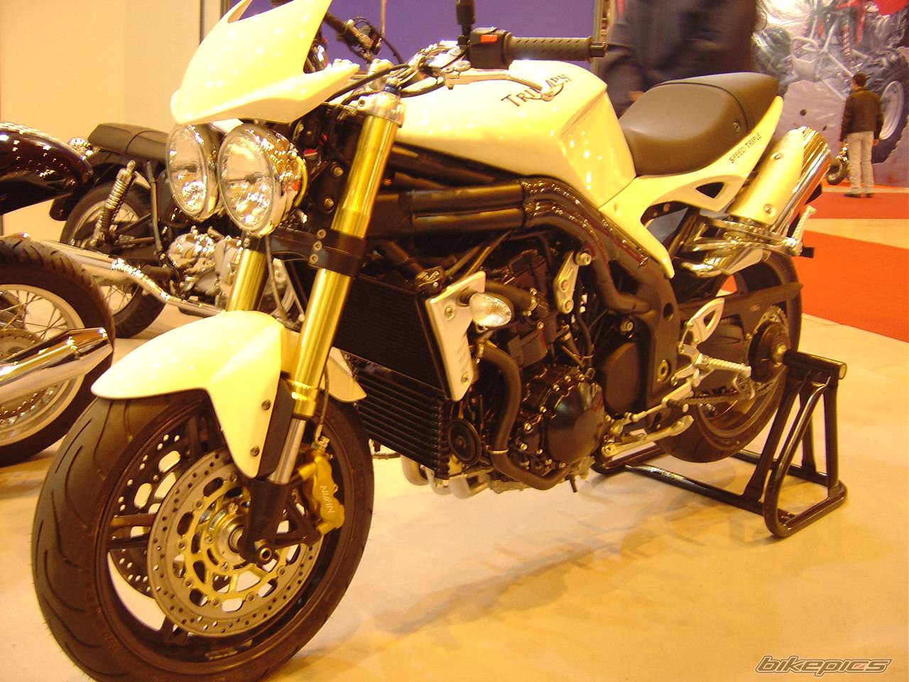 2006 TRIUMPH SPEED TRIPLE | Picture 542215 motorcycle photo