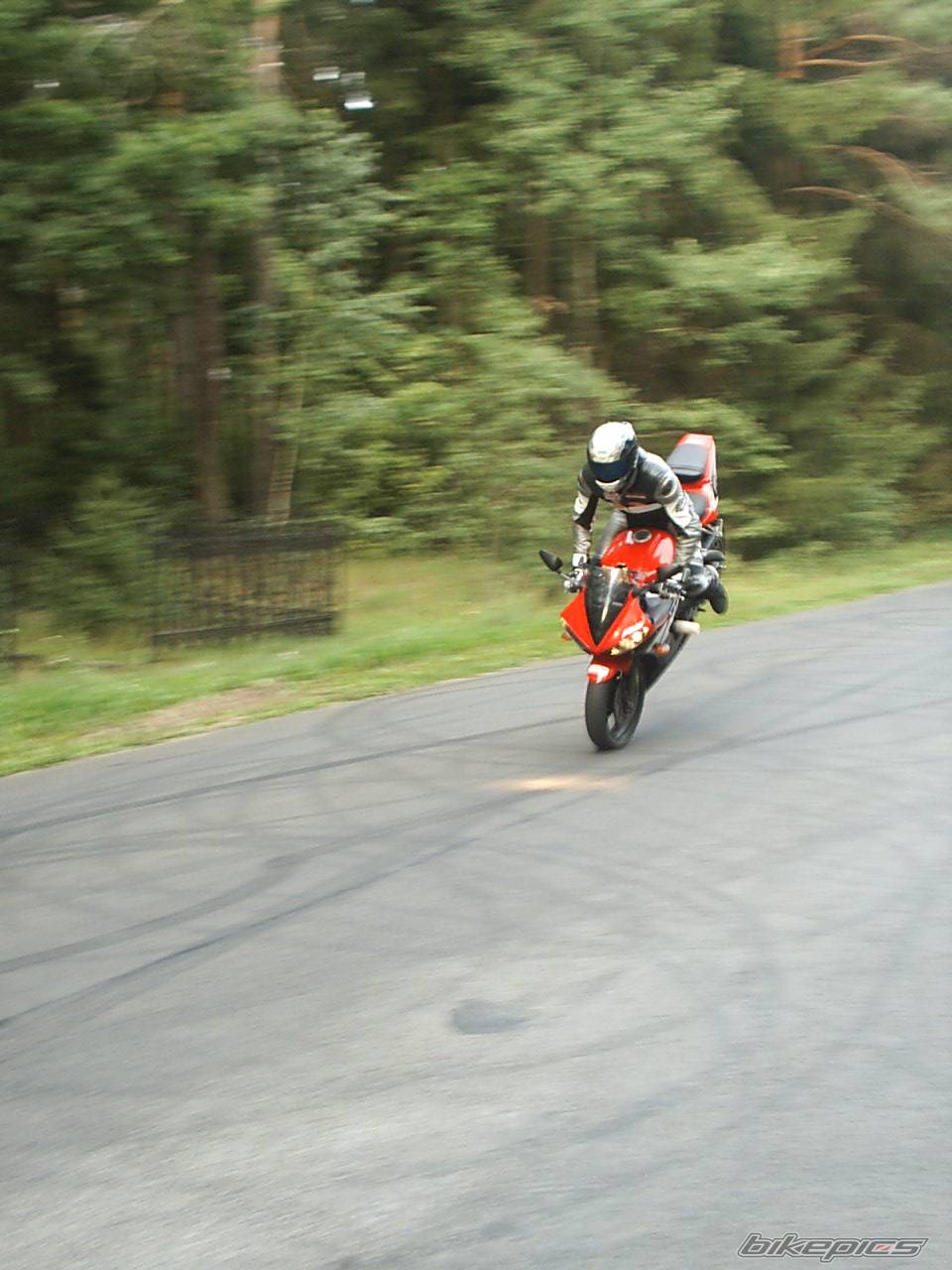 2003 YAMAHA YZF R6 | Picture 542558 motorcycle photo