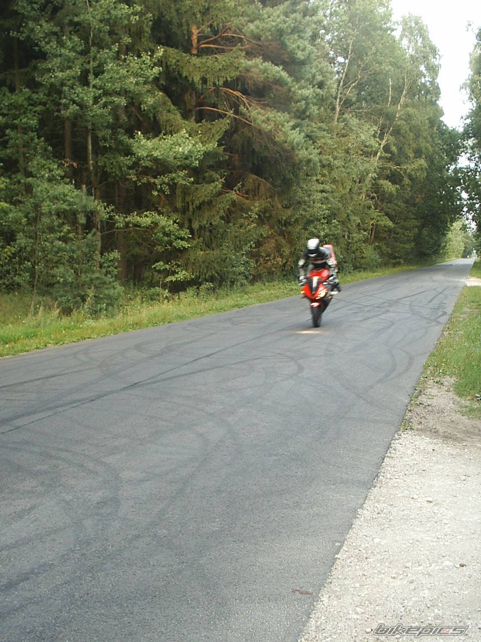 2003 YAMAHA YZF R6 | Picture 542559 motorcycle photo