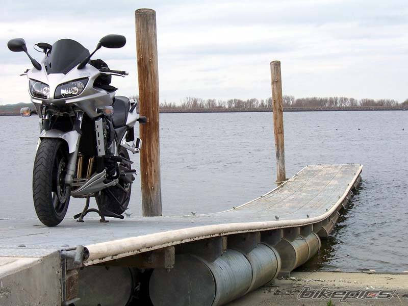 2003 YAMAHA FZ 1 | Picture 542626 motorcycle photo