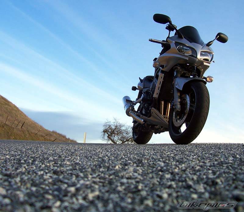 2003 YAMAHA FZ 1 | Picture 542631 motorcycle photo